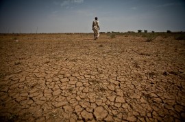 Los obstáculos para erradicar el hambre en África no se limitan a la pobreza, sino también el cambio climático que afecta a las tierras de cultivo y destruye las cosechas en todo el continente. (Suministrada-Flickr Commons)