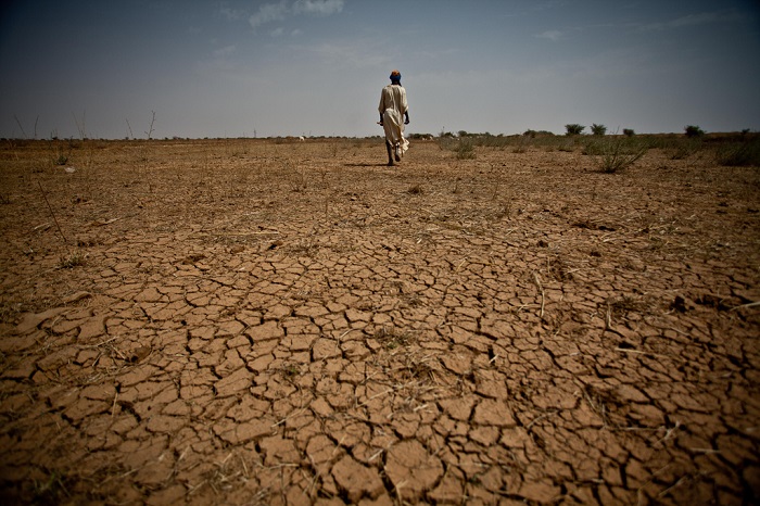 Los obstáculos para erradicar el hambre en África no se limitan a la pobreza, sino también el cambio climático que afecta a las tierras de cultivo y destruye las cosechas en todo el continente. (Suministrada-Flickr Commons)