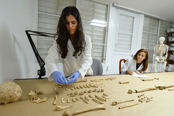 Jessica Carnivali y Britgette Troche, estudiantes del Departamento de Sociología y Antropología de la UPR-RP, trabajando con unos restos precolombinos. (Ricardo Alcaraz / Diálogo)