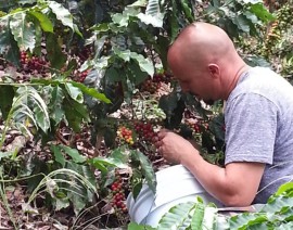 Agricultor Waldemar Brebán en su hacienda, mientras se dedica a la  cosecha de café. (Suministrada)