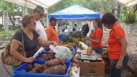 Mercado Agricola y Artesanal en UPR-Cayey.