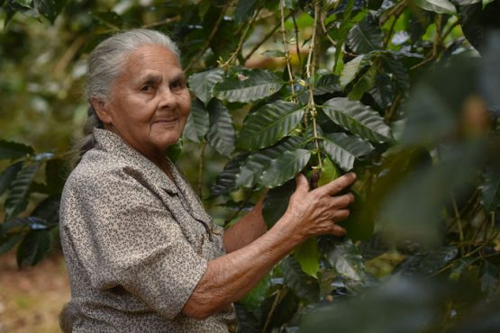 Gracias a la agricultura, doña Bienvenida Santana Ramos logró sacar adelante a su familia luego de la muerte de su esposo. (Ricardo Alcaraz / Diálogo)