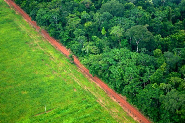 La deforestación es uno de las principales fuentes de emisión de gases de efecto invernadero en América Latina, como en esta área de Rio Branco, en el norteño estado de Acre, en Brasil. Crédito: Kate Evans / Centro para la Investigación Forestal Internacional