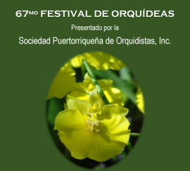 Promoción del Festival de Orquídeas. (Suministrada)