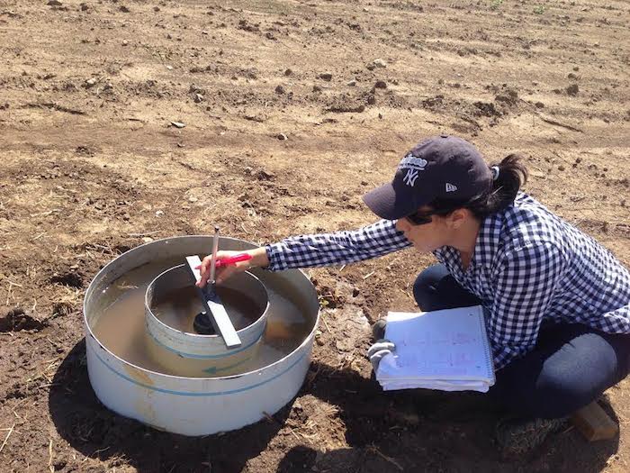 Noelymar González Maldonado participa en una investigación que busca establecer estrategias de manejo para remediar suelos sódicos [de alto contenido de sodio]. (Suministrada)