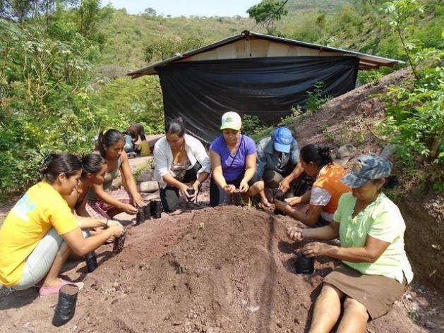 Integrantes de una de las cooperativas agropecuarias de mujeres de Nicaragua trabajan juntas en la instalación de un vivero de mil plantas maderables y frutales para enfrentar el cambio climático en una comunidad del departamento de Madriz. Crédito: Femuprocan
