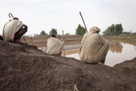 Millones de familias agricultoras en los países en desarrollo padecen falta de acceso al agua dulce. Crédito: FAO