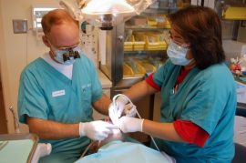 dentist-patient-dentistry-healthcare-medicine