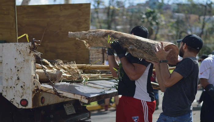Voluntarios y empleados en el recogido de escombros en el Jardín Botánico. (Andrés Santana Miranda/Diálogo)