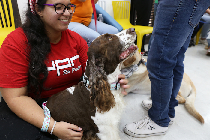 Estudiantes de la Iupi liberan stess con cans de terapia 5