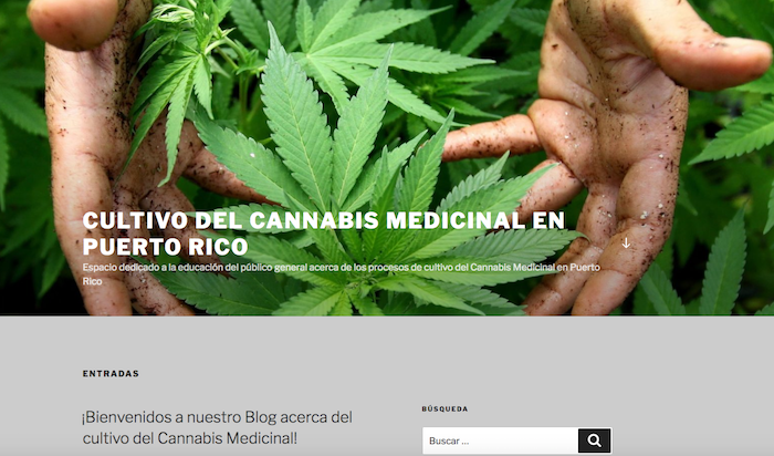 blog cannabis