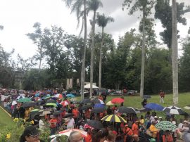 manifestación en Jardín Botánico