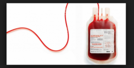 transfusion pinterest