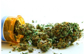 cannabis medicinal www.drugfreelakecounty.org